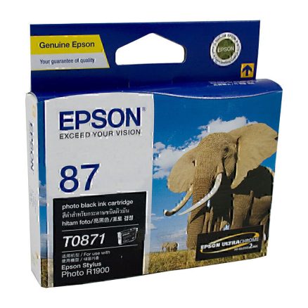 Epson T0871 Ph Black Ink Cart 1