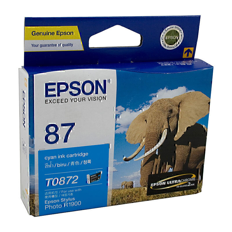 Epson T0872 Cyan Ink Cart 2