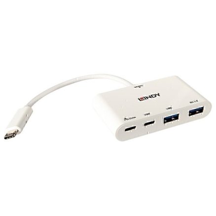 Lindy 4 Port USB-C PD Hub 1