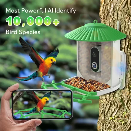 App Remote View Smart Ai Identify Bird Motion Detection 1.8L Birds Feeder Camera Wifi Outdoor Ip65 Night Vision Gift For Friend 6