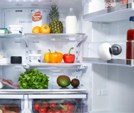 Smarter FridgeCam: Smart Fridge Camera with Wi-Fi & Voice Activation 8