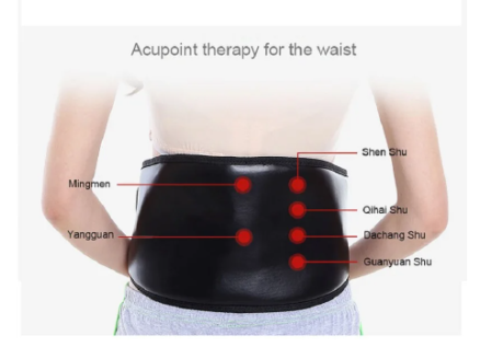 Electronic Muscle Stimulation Electrode Pulse Tens Unit Therapeutic Belt For Lumbar Muscle Strain 6