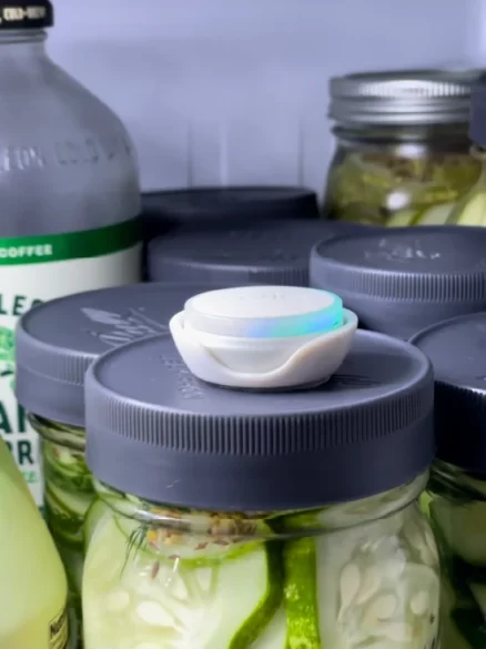 Ovie LightTags - Smart Food Tracking System for Freshness and Waste Reduction 10